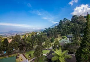 Puncak Pass Resort