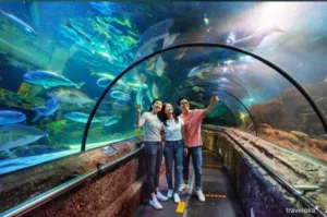 SeaWorld Ancol